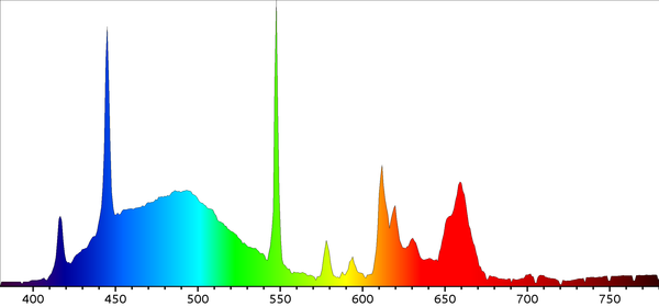 Spectrograph